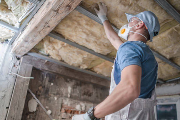 Best Specialized Insulation Services in Harbor Beach, MI