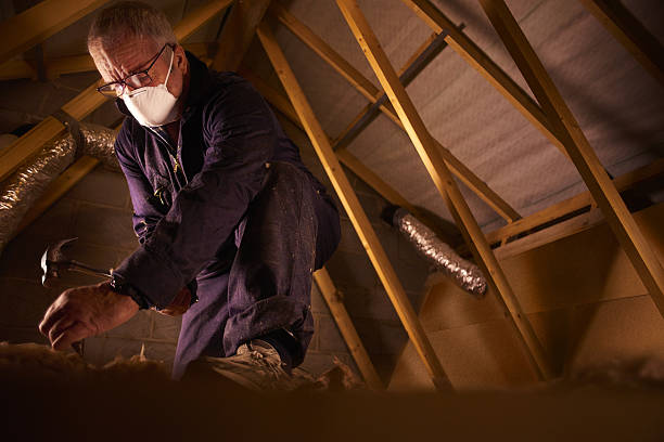 Best Geographic-Specific Insulation Services in Harbor Beach, MI